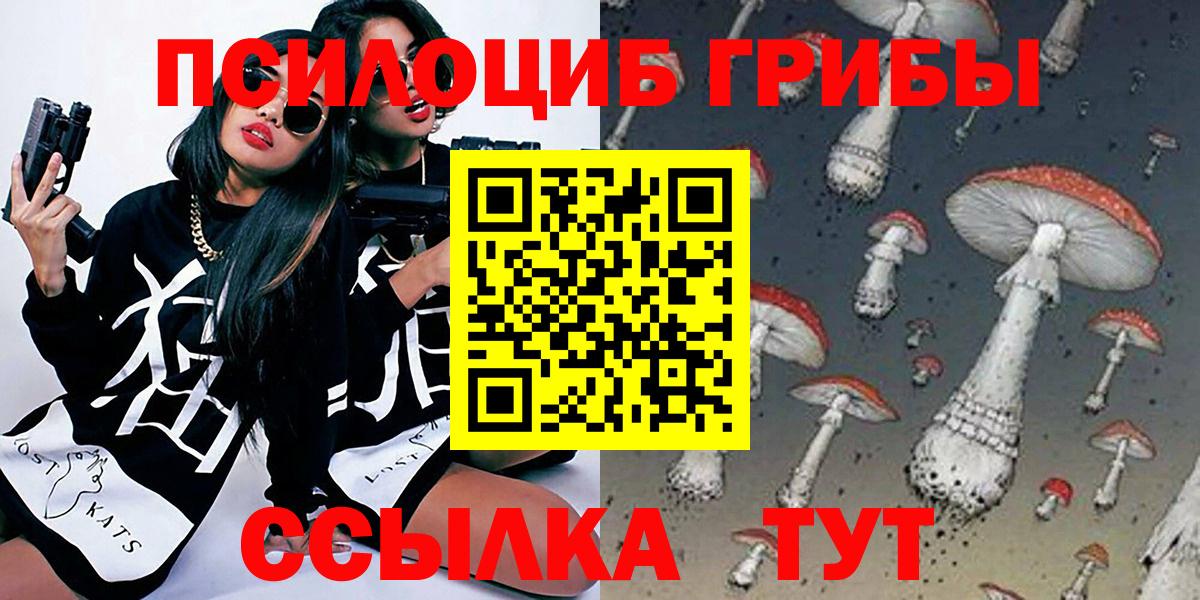 Псилоцибиновые грибы Cubensis Бирск