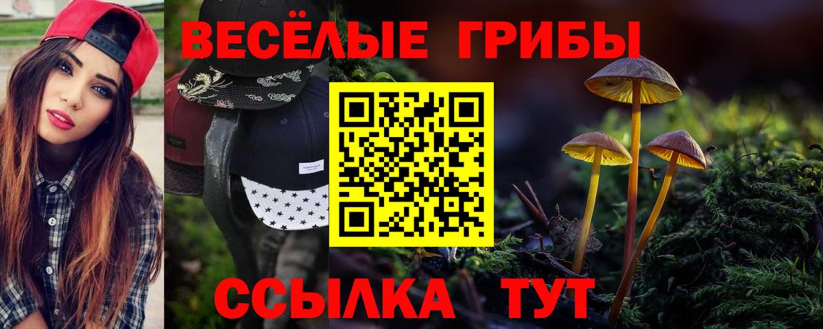 Галлюциногенные грибы прущие грибы  Псилоцибиновые грибы мухоморы  продажа наркотиков  Бирск  Вход с VPN 