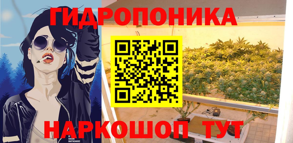 Конопля сатива Бирск